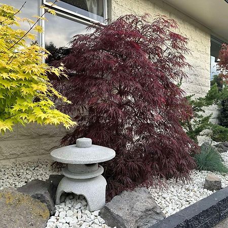 The Airport Homestay House Christchurch Kültér fotó