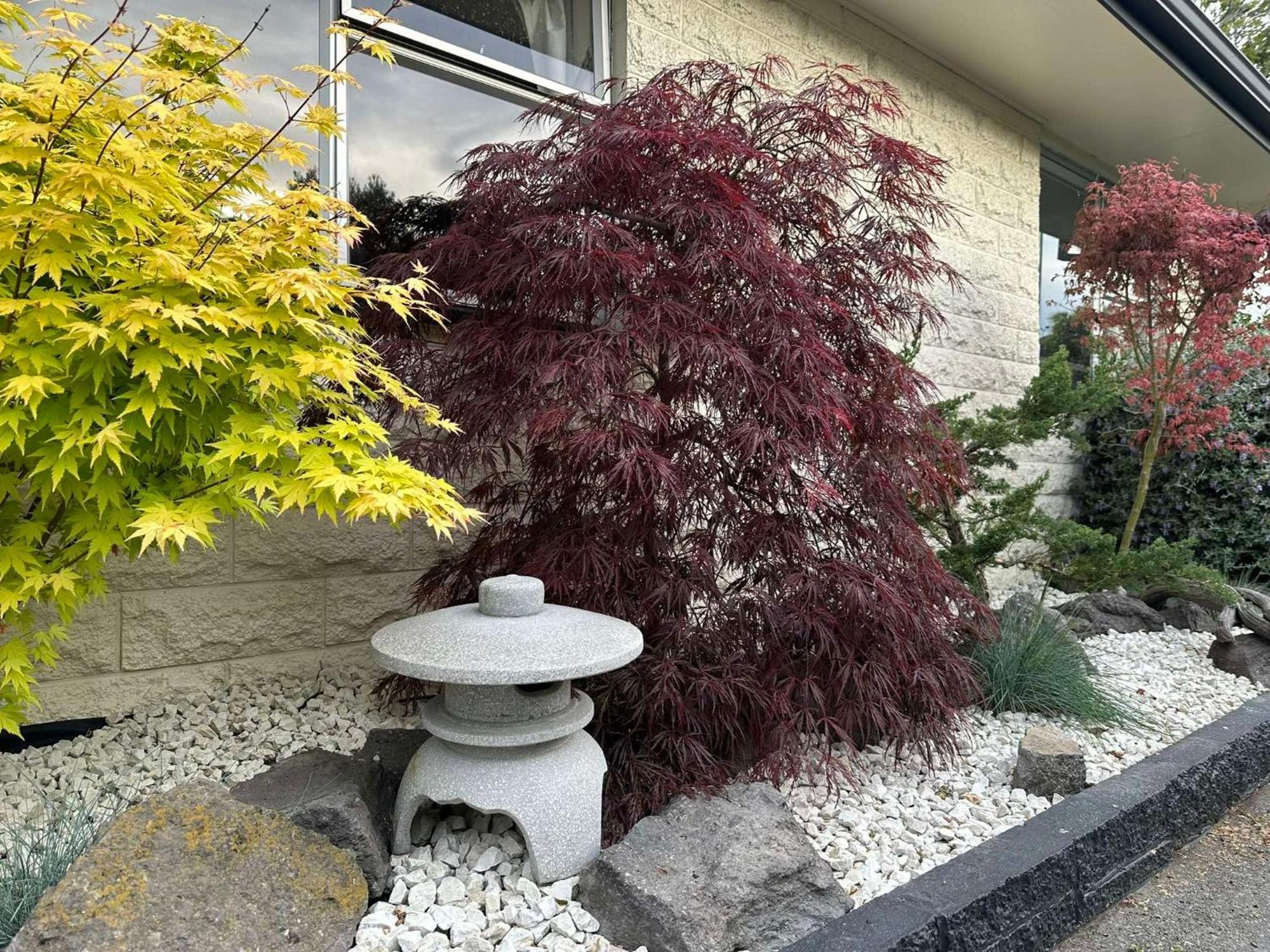 The Airport Homestay House Christchurch Kültér fotó
