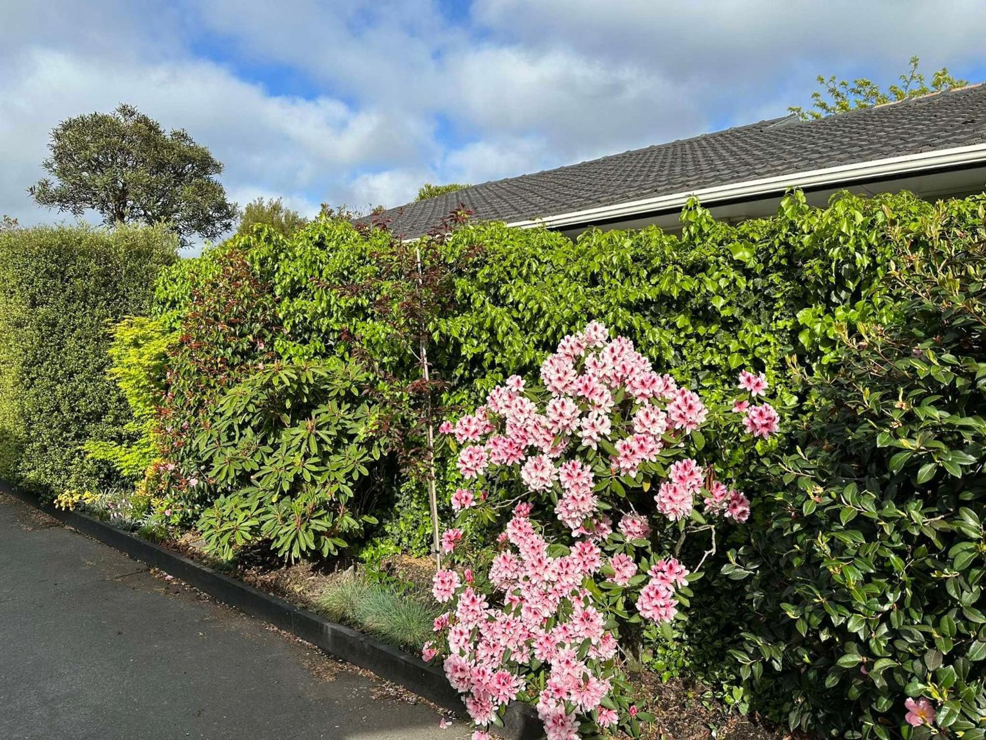 The Airport Homestay House Christchurch Kültér fotó